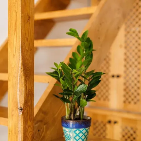 Appartement Helona Guesthouse,