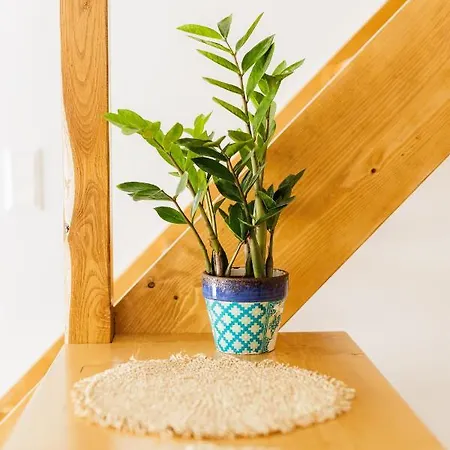 Helona Guesthouse, * Skopelos